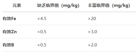 微信截图_20250512133255